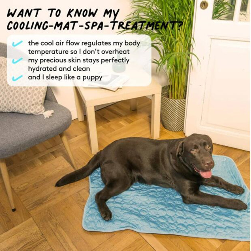 The Ultimate Cooling Pet Mat B - Cooling Blanket Hot Sleepers recension och pris